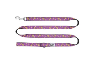 RC Pets Dog Leash 6' - Bright